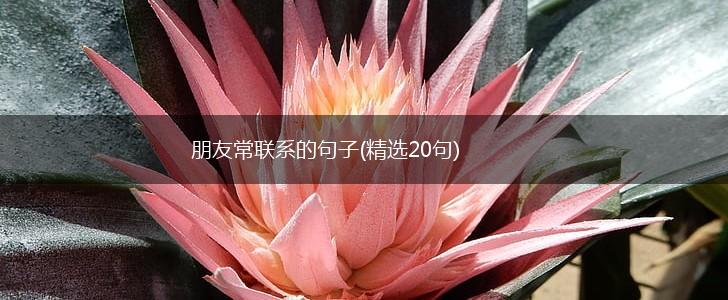 朋友常联系的句子(精选20句),第1张