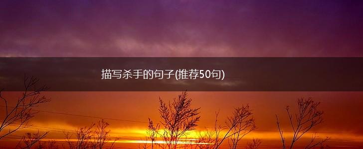 描写杀手的句子(推荐50句),第1张