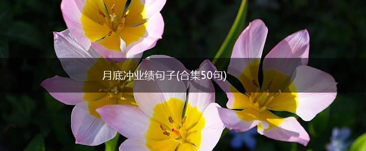 月底冲业绩句子(合集50句),第1张