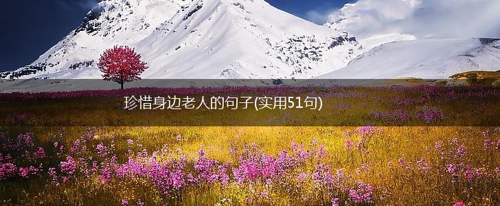 珍惜身边老人的句子(实用51句),第1张