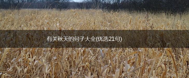 有关秋天的句子大全(优选21句),第1张