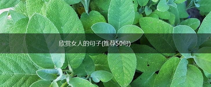 欣赏女人的句子(推荐50句),第1张