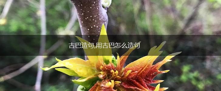古巴造句,用古巴怎么造句,第1张