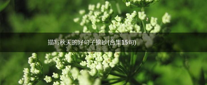 描写秋天的好句子摘抄(合集15句),第1张
