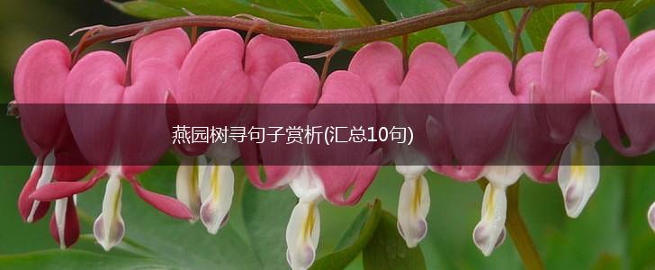 燕园树寻句子赏析(汇总10句),第1张