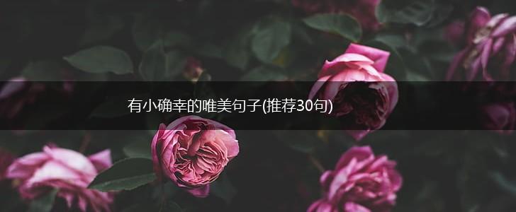 有小确幸的唯美句子(推荐30句),第1张