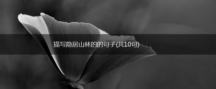 描写隐居山林的的句子(共10句),第1张