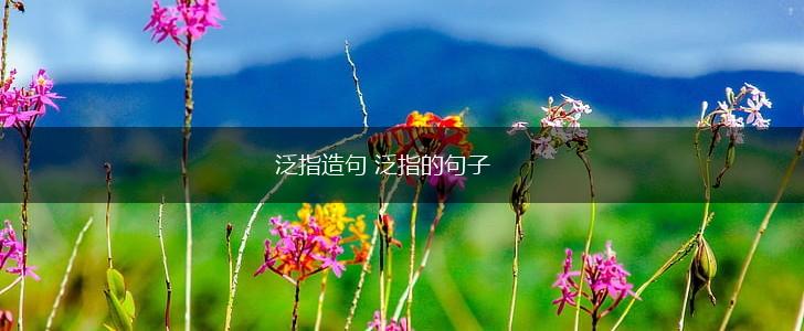 泛指造句 泛指的句子,第1张