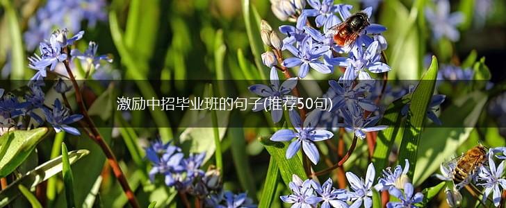 激励中招毕业班的句子(推荐50句),第1张