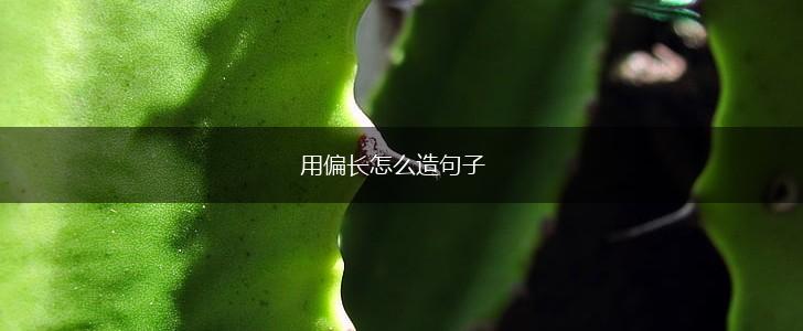 用偏长怎么造句子,第1张