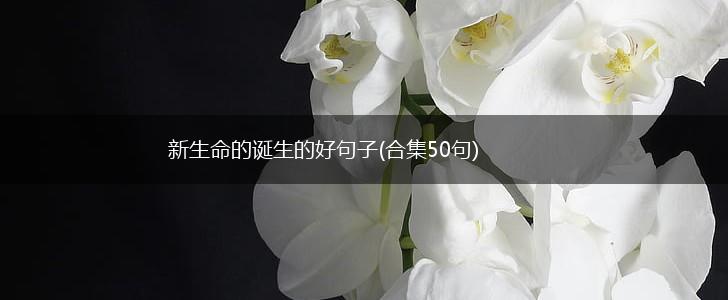 新生命的诞生的好句子(合集50句),第1张
