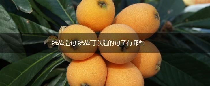 统战造句 统战可以造的句子有哪些,第1张