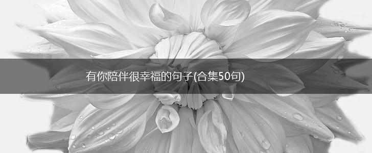 有你陪伴很幸福的句子(合集50句),第1张