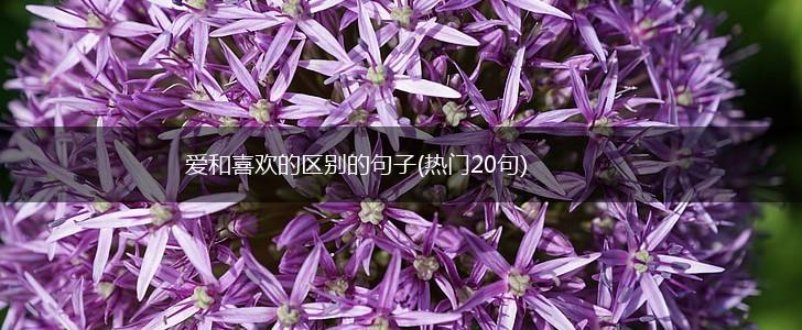 爱和喜欢的区别的句子(热门20句),第1张
