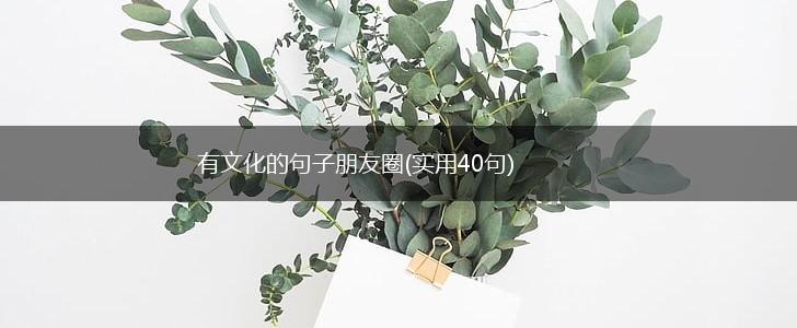 有文化的句子朋友圈(实用40句),第1张