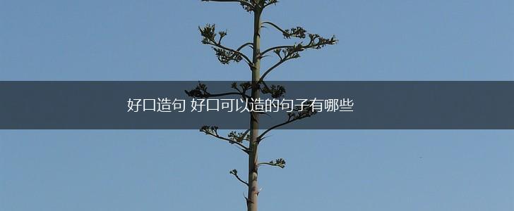 好口造句 好口可以造的句子有哪些,第1张