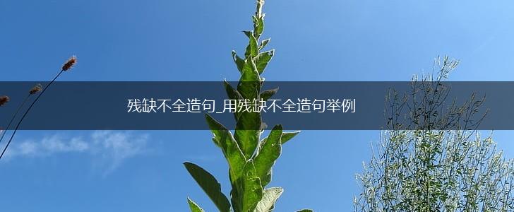 残缺不全造句_用残缺不全造句举例,第1张