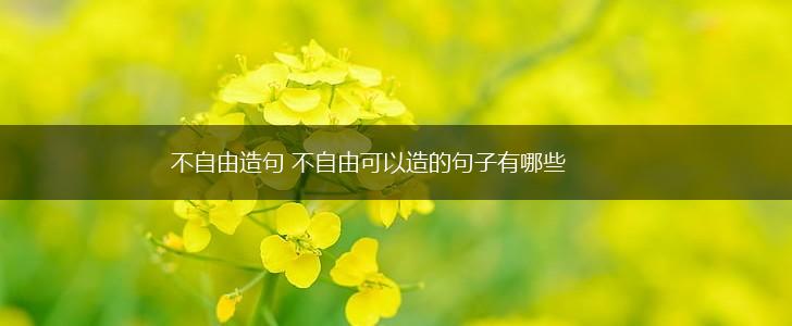 不自由造句 不自由可以造的句子有哪些,第1张