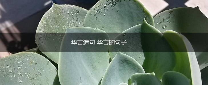 华言造句 华言的句子,第1张
