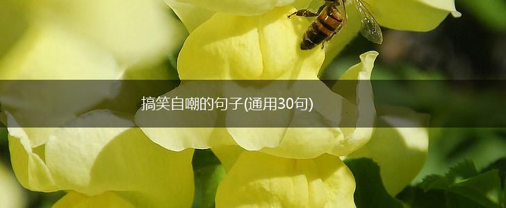 搞笑自嘲的句子(通用30句),第1张