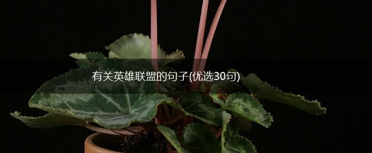 有关英雄联盟的句子(优选30句),第1张