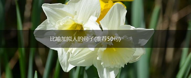 比喻加拟人的句子(推荐50句),第1张