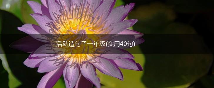 活动造句子一年级(实用40句),第1张