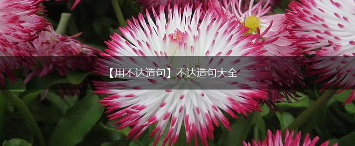 【用不达造句】不达造句大全,第1张