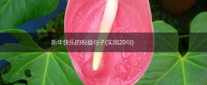 新年快乐的祝福句子(实用20句),第1张
