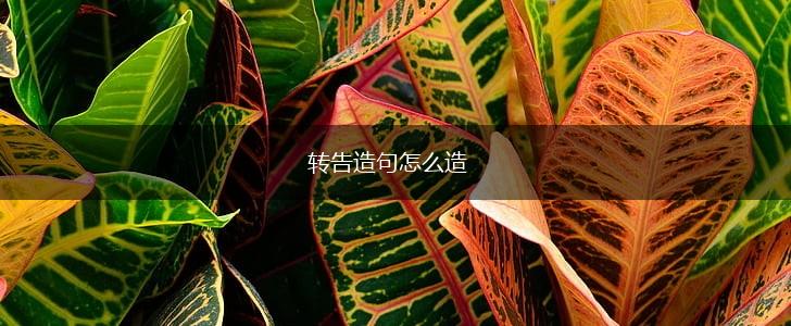 转告造句怎么造,第1张