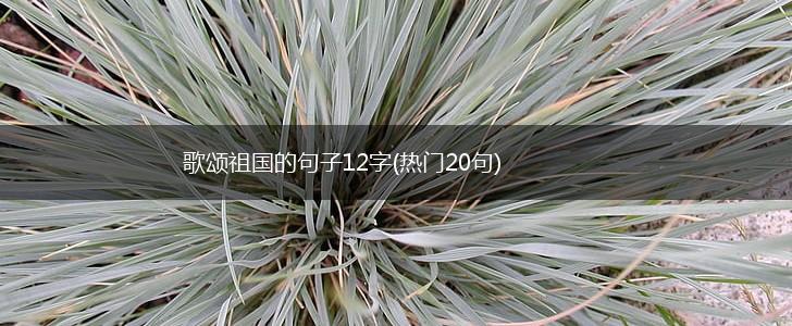 歌颂祖国的句子12字(热门20句),第1张
