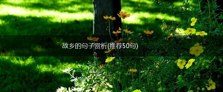 故乡的句子赏析(推荐50句),第1张