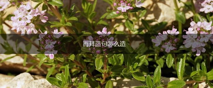 再拜造句怎么造,第1张