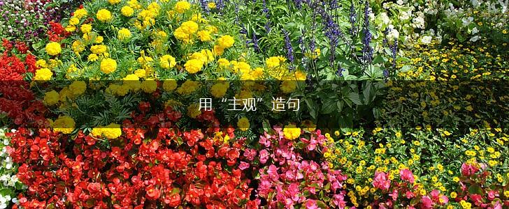 用“主观”造句,第1张