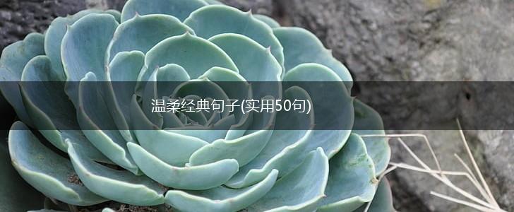 温柔经典句子(实用50句),第1张