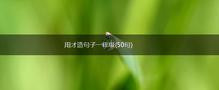 用才造句子一年级(50句),第1张
