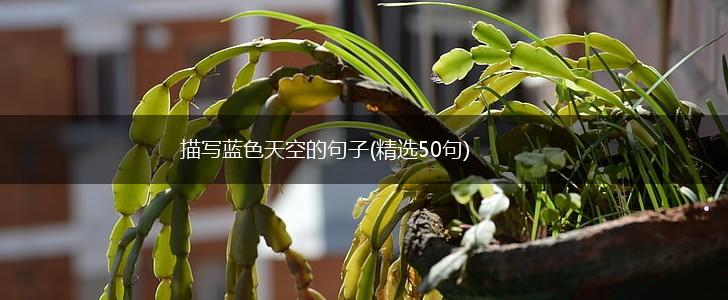 描写蓝色天空的句子(精选50句),第1张