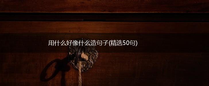 用什么好像什么造句子(精选50句),第1张