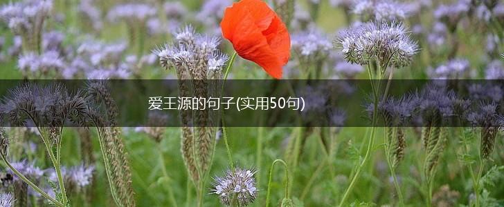 爱王源的句子(实用50句),第1张