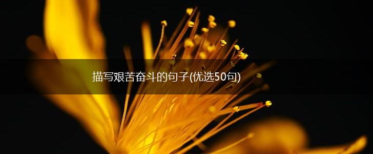 描写艰苦奋斗的句子(优选50句),第1张