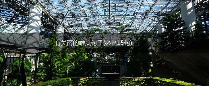 有关雨的唯美句子(必备15句),第1张
