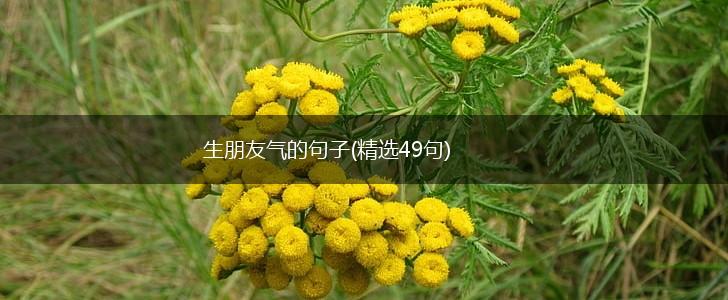 生朋友气的句子(精选49句),第1张