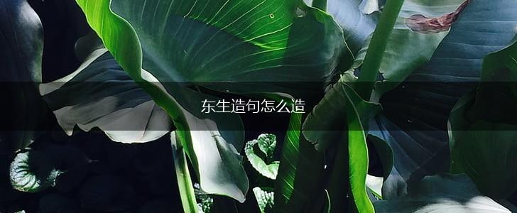 东生造句怎么造,第1张