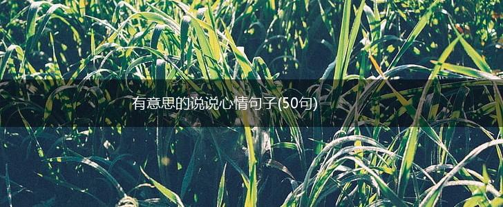 有意思的说说心情句子(50句),第1张