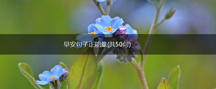 早安句子正能量(共50句),第1张