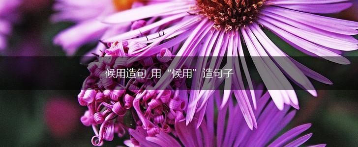 候用造句_用“候用”造句子,第1张