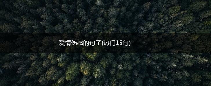爱情伤感的句子(热门15句),第1张