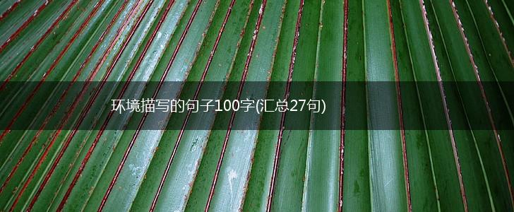 环境描写的句子100字(汇总27句),第1张