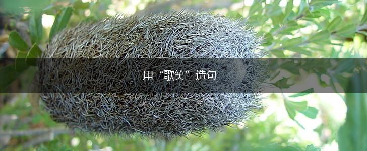 用“歌笑”造句,第1张