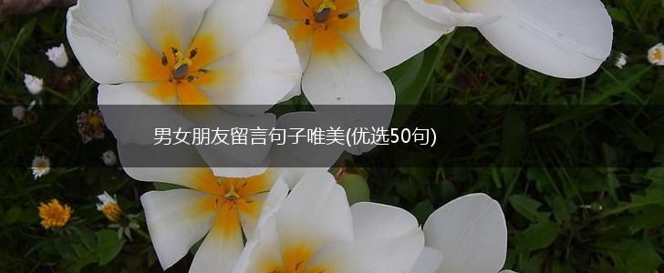 男女朋友留言句子唯美(优选50句),第1张